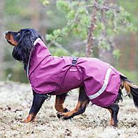 Kevyt Pomppa Midseason Dog Coats